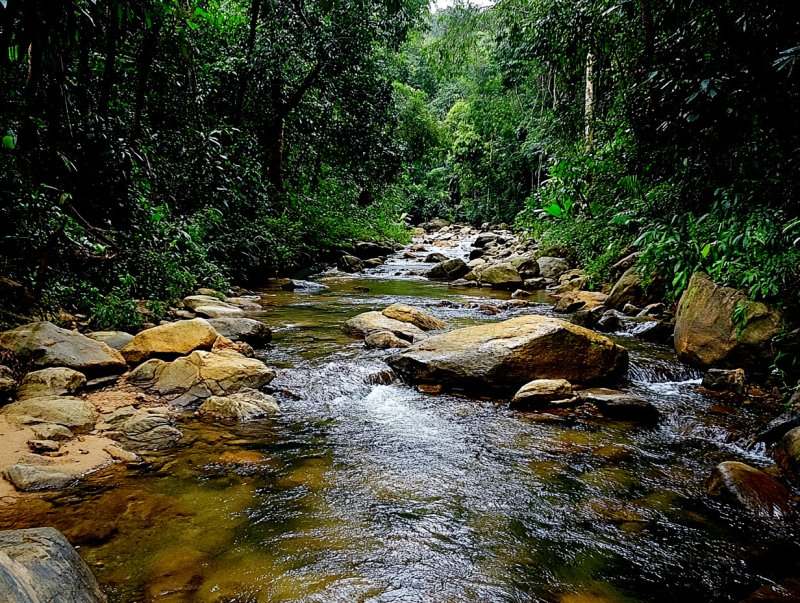 Serene Escape: Katunayake to Deniyaya